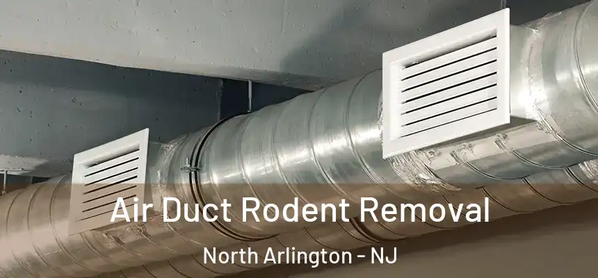  Air Duct Rodent Removal North Arlington - NJ