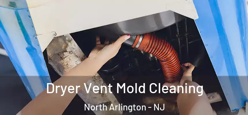  Dryer Vent Mold Cleaning North Arlington - NJ