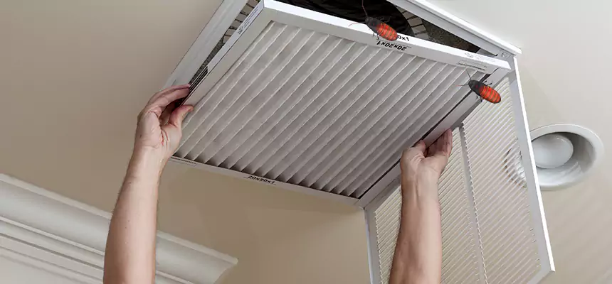 Preventive Cockroach-Proofing for Ducts in North Arlington