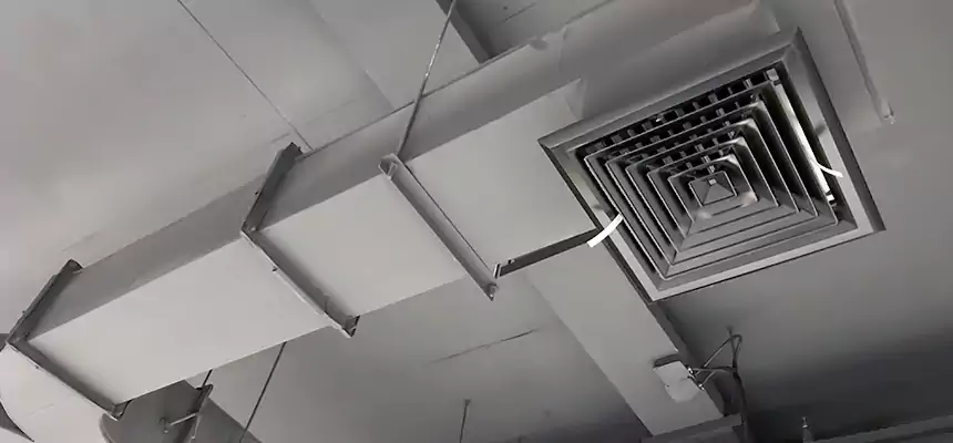 Restorative Allergy Relief Vent Cleaning – Coil, Blower & Housing Detail in North Arlington