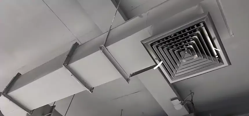 Our Pest Removal From Ducts Services in North Arlington, NJ