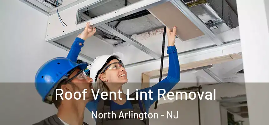  Roof Vent Lint Removal North Arlington - NJ