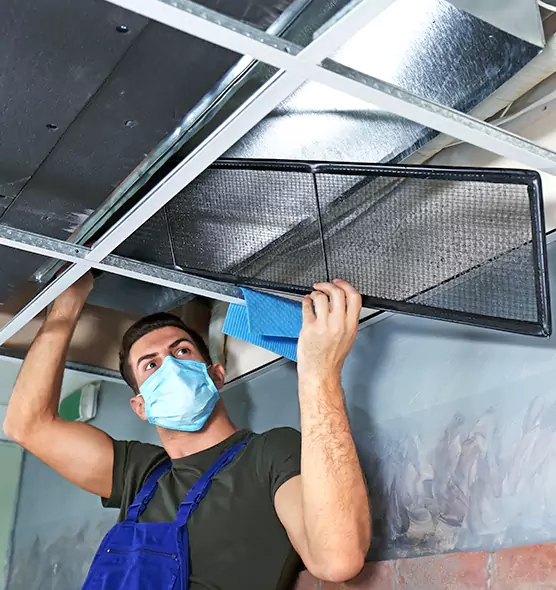 About Air Duct Bacteria Removal in North Arlington