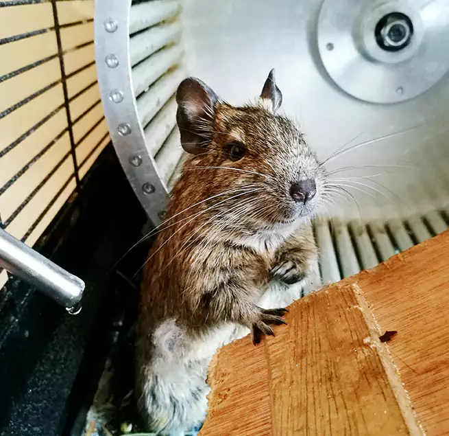 Why Homeowners & Businesses Trust Us North Arlington, NJ