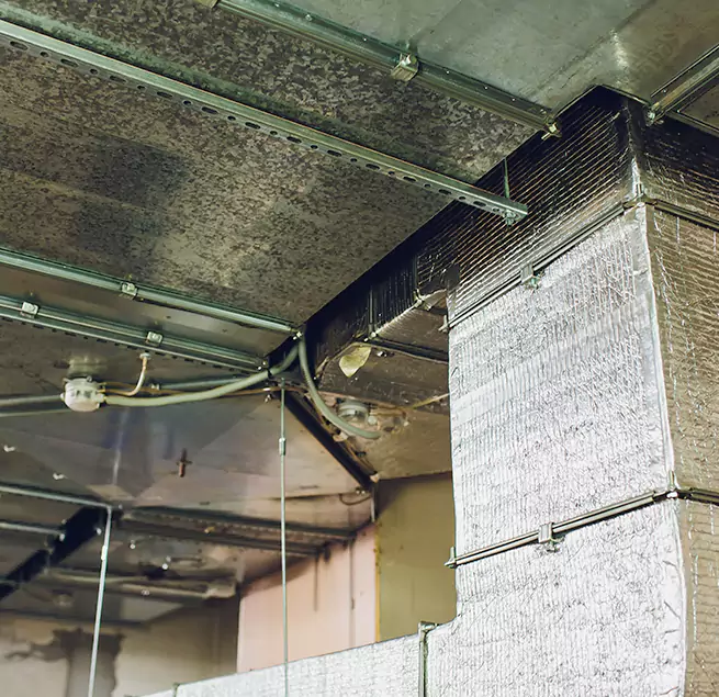 Why Homeowners & Businesses Trust Us in North Arlington, NJ?